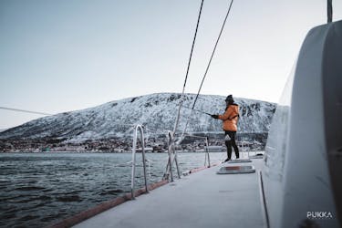 Private Arctic sail safari